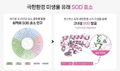 코스맥스, 中서 극한환경 항산화 효소’ 개발…고기능 화장품 시장 공략