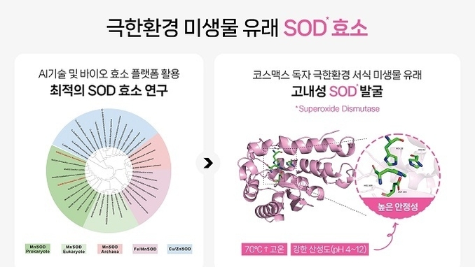 코스맥스, 中서 극한환경 항산화 효소’ 개발…고기능 화장품 시장 공략