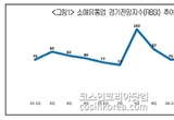 2분기 소매 유통 '위축' 전망... 유통업계 원가+물류 증가로 RBSI 80