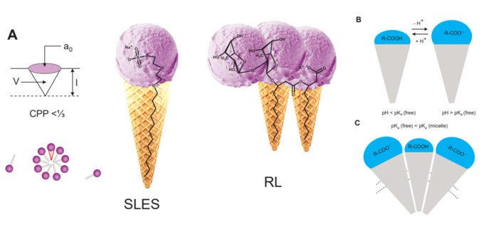 바이오 계면활성제의 물리화학 규명... 지속 가능한 제형 기술 확립