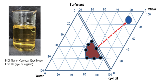 (주)바이오뷰텍, Kyol 오일 기반 마이크로에멀젼 설계 전략 제시